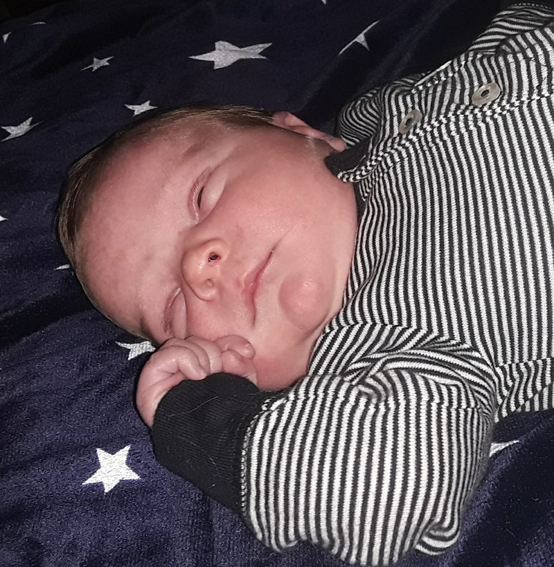 Bébé Noah Therrien