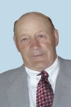 Remerciements M. Ange-Albert Lavoie